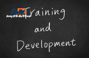 Training dan Development
